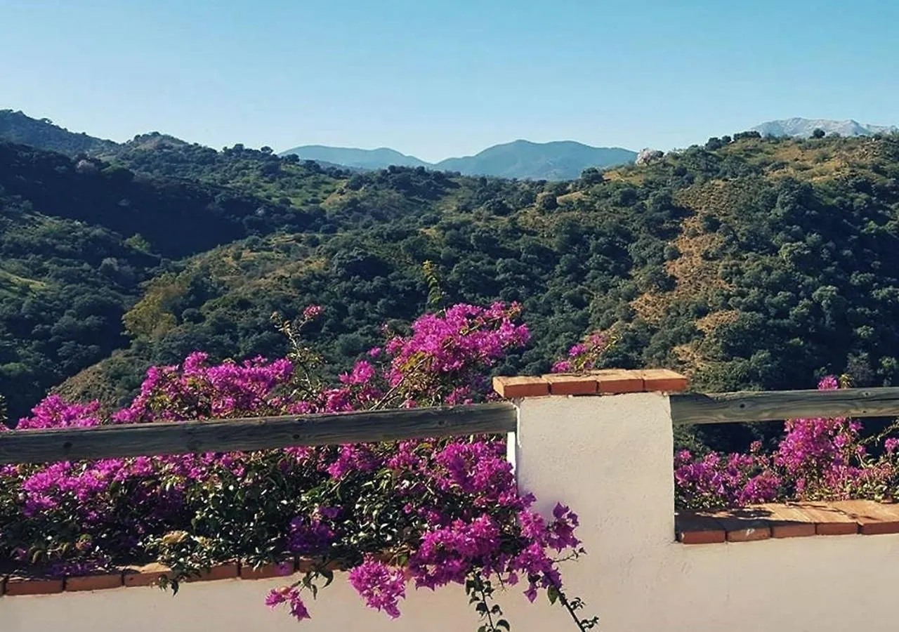 Corazon Andaluz Guesthouse Coín