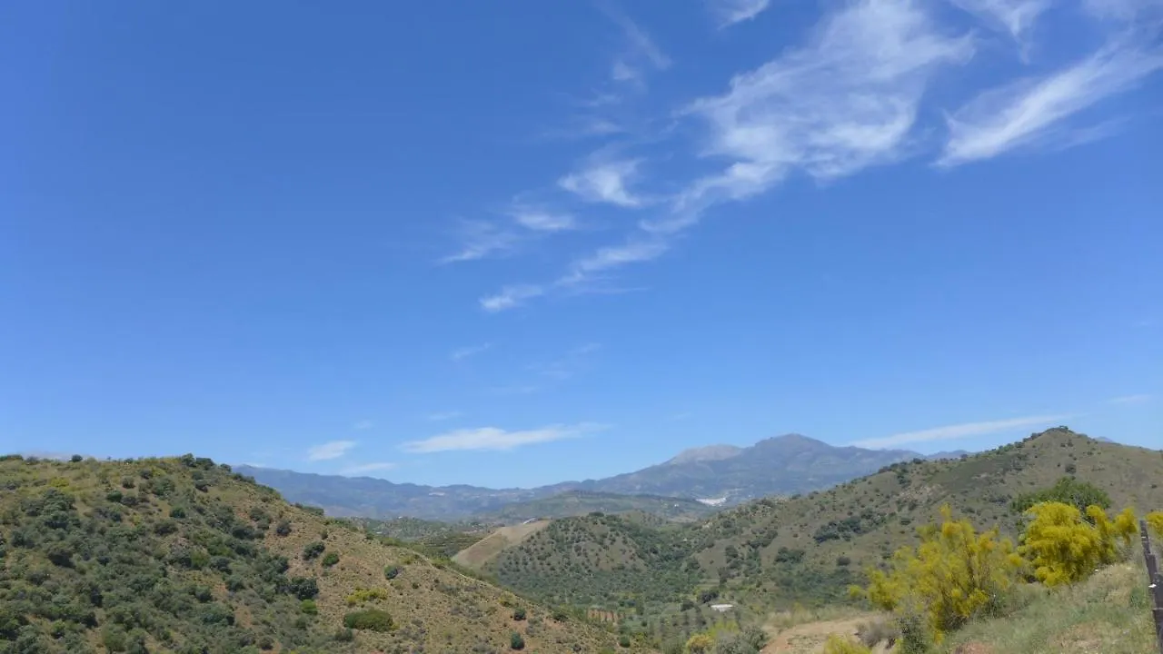 Corazon Andaluz Guesthouse Coín Bed & Breakfast