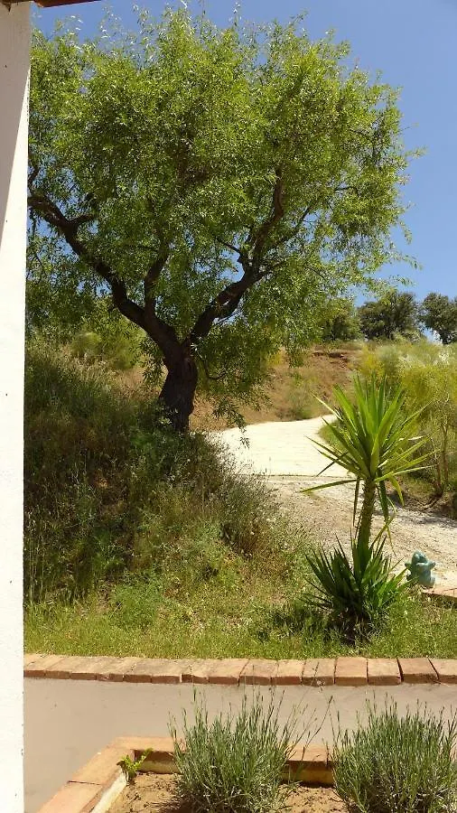 Bed & Breakfast Corazon Andaluz Guesthouse Coín