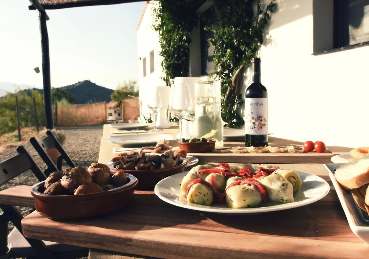 Bed & Breakfast Corazon Andaluz Guesthouse Coín